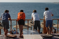 _>>Egypt 11/08